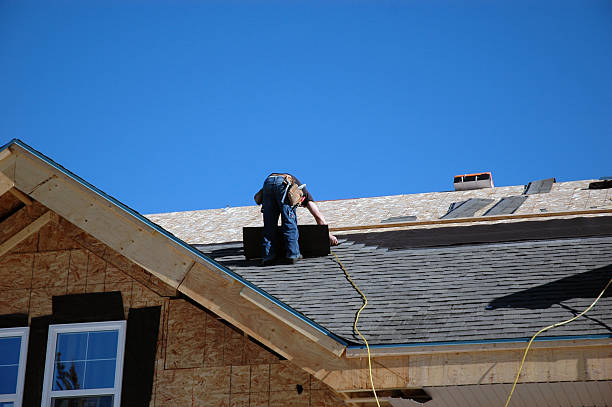 Best Chimney Flashing Repair  in Black River Falls, WI